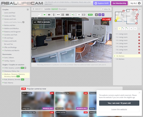 A Review Screenshot of 