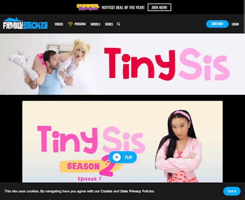 A Review Screenshot of 